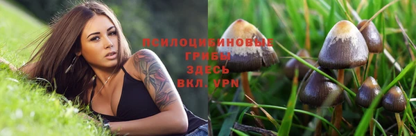 герыч Алзамай