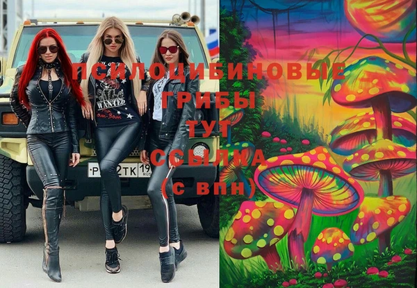 синтетический гашиш Алексин
