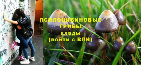герыч Алзамай